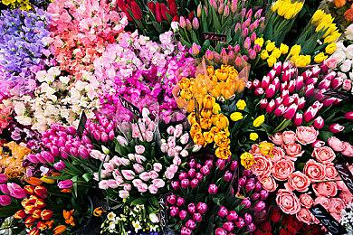 杰洛特配音演员期待回归《巫师》：想配一辈子！